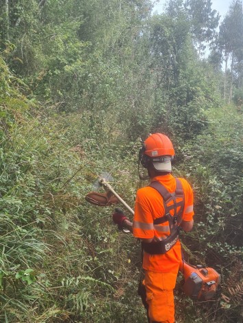 Llanes destina más de 300.000 euros en 2025 a la prevención de incendios forestales