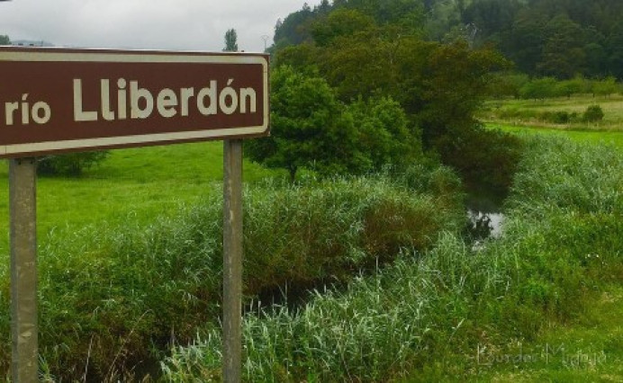 El Esmerillón suelta 9.000 alevines de trucha en dos ríos colungueses