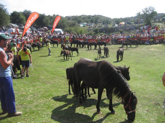Presentación en Madrid del Festival del Asturcón 2016