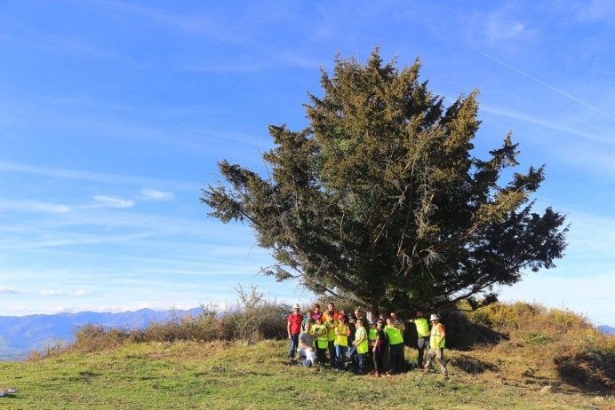 Recuperación del entorno de subida a la Mota Cetín