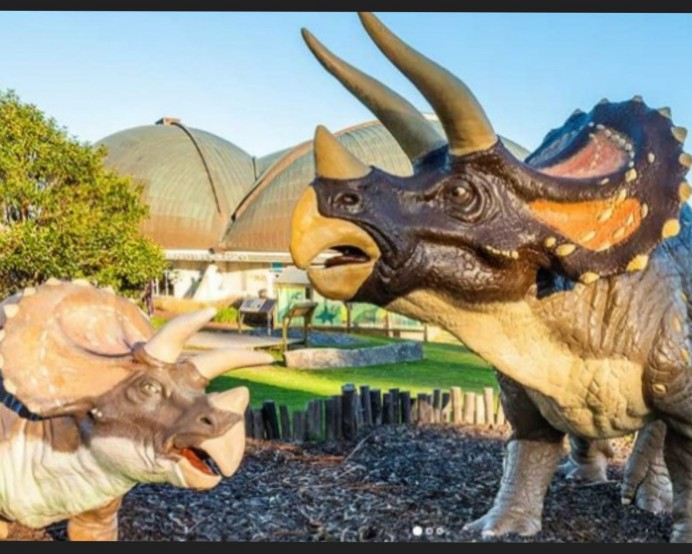 Planes para celebrar el Día de los Museos Planes para celebrar el Día de los Museos