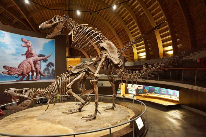 Los museos asturianos recibieron a 588.815 visitantes el año pasado