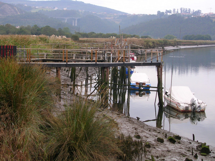 El Gobierno cede ante los pescadores, vuelve amenazar el futuro de los ríos y sus pocos peces El Gobierno cede ante los pescadores, vuelve amenazar el futuro de los ríos y sus pocos peces