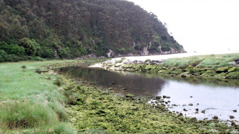 Ecologistas de Asturias: Nos preocupa la elevada contaminación de nitratos presente en la playa de la Franca en Ribadedeva