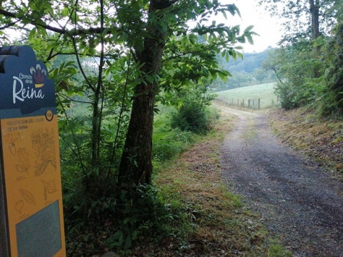 Puesta en marcha de Rutas de senderismo y espacios naturales en Parres