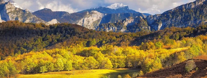 Asturias renueva la gestión del Parque Natural de Ponga con más participación de colectivos y vecinos