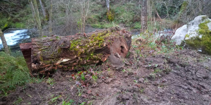 Retirada de objetos Ruta de los Colores
