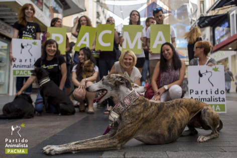 PACMA: La Fundación Toro de Lidia intenta forzar una afición taurina inexistente en Benia de Onís