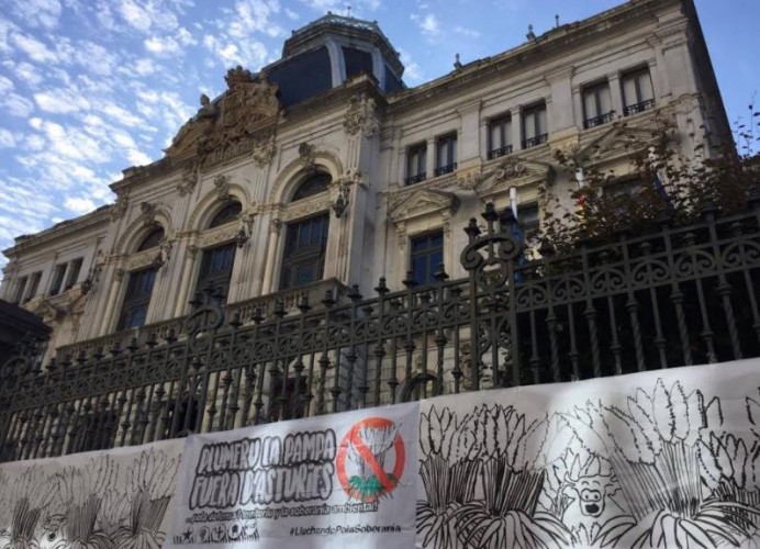 El plumeru La Pampa invadió la Xunta Xeneral mentanto’l Debate d’Orientación Política d’Asturies.
