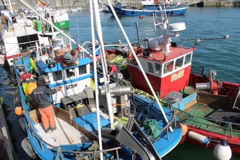 Ciudadanos presenta un paquete de medidas urgentes para rescatar al sector pesquero 