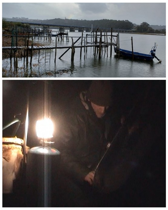 La Coordinadora Ecoloxista d’Asturies alerta: el Principado pone en riesgo la supervivencia de la anguila europea al permitir la pesca de angulas en los ríos asturianos La Coordinadora Ecoloxista d’Asturies alerta: el Principado pone en riesgo la supervivencia de la anguila europea al permitir la pesca de angulas en los ríos asturianos