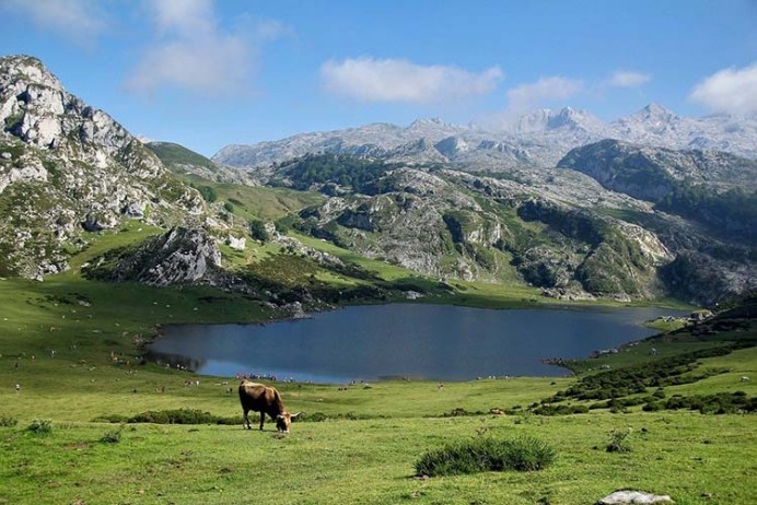 El Principado destina 248.000 euros a proyectos en los concejos de los Picos de Europa