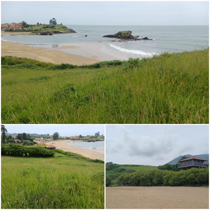 La Coordinadora Ecoloxista alerta del impacto de un proyecto de 28 chalets junto a la playa de La Isla, en Colunga
