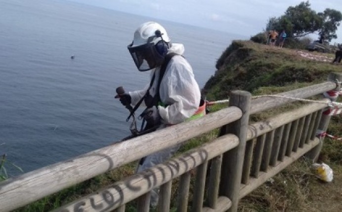 Contrato en Prácticas 2020 en Ayuntamiento de Colunga