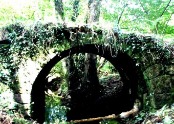 CALEYA DE SANTIAGO...