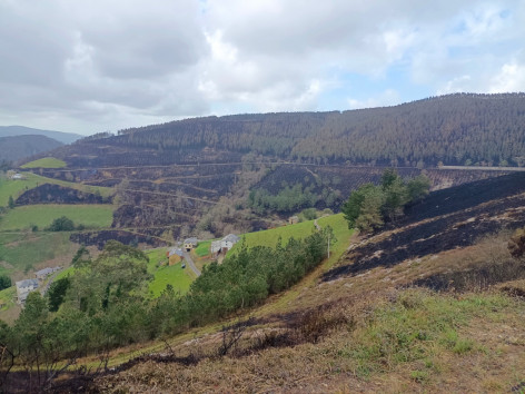 Ecologistas de Asturias: Exigimos recuperar los acotados al pastores para nadie obtenga beneficio de quemar el monte