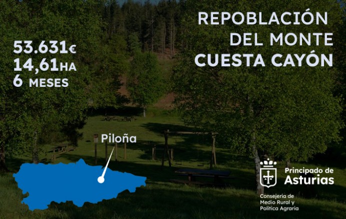La repoblación de casi 15 hectáreas en el monte Cuesta Cayón, en Piloña, costará 53.631 euros