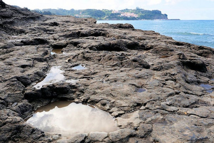 Aparecen nuevos restos jurásicos en la costa colunguesa