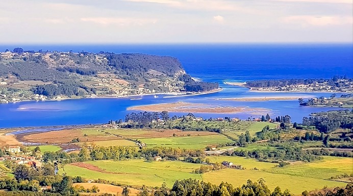 La Reserva Natural de la Ría de Villaviciosa descarta una mortandad de gambusinos tras analizar los restos hallados