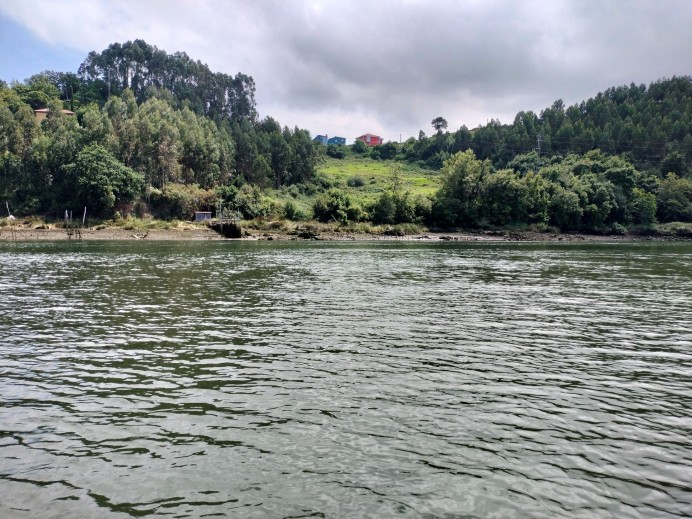 Finaliza la campaña de pesca de la angula en Asturias con un llamado urgente a su prohibición Finaliza la campaña de pesca de la angula en Asturias con un llamado urgente a su prohibición