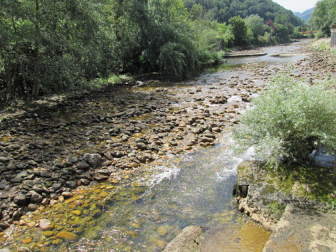 Ecologistas de Asturias: El Principado tiene que suspender sin demora la pesca en los ríos por la sequía