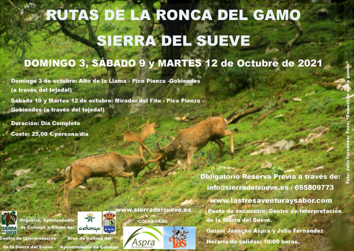 Disfruta de la ronca del gamu en El Sueve
