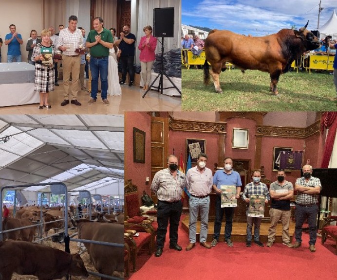 La campaña de saneamiento ganadero de Villaviciosa comenzará el 13 de mayo y recorrerá todas las parroquias