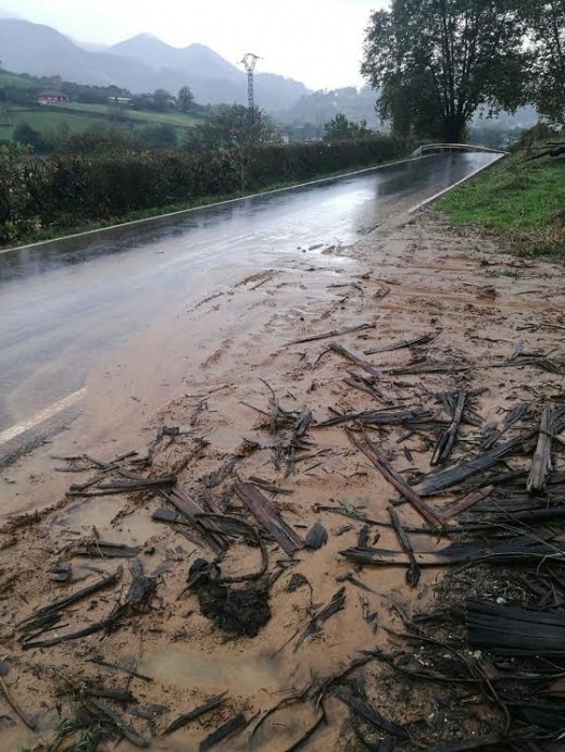 Sobre la carretera de San Román