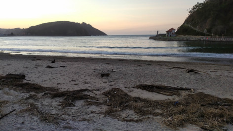 Ecologistas de Asturias: La playa de Santa Marina en Ribadesella lleva muchos años ya con mala calidad de sus aguas