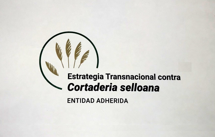 Llanes se adhiere Estrategia lucha contra plumero pampa