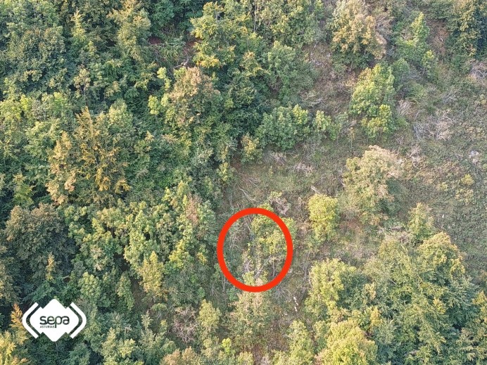 Dos hombres gravemente heridos en accidentes en montes de Somiedo y Villaviciosa Dos hombres gravemente heridos en accidentes en montes de Somiedo y Villaviciosa