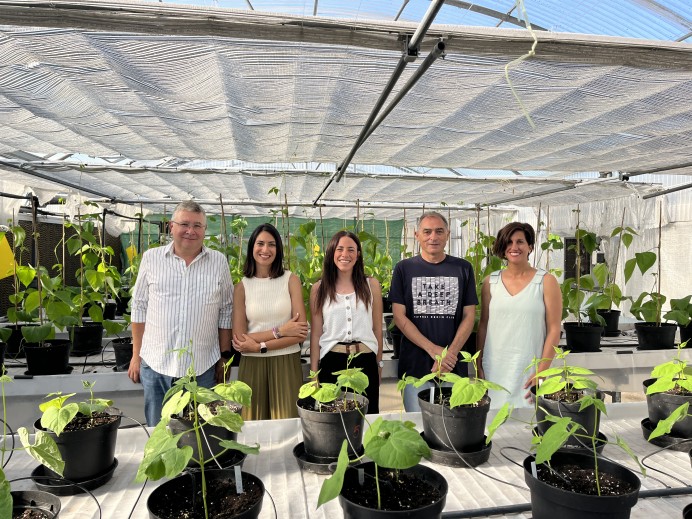 El Serida obtiene el primer genoma completo de la faba granja asturiana y abre una nueva etapa en su mejora genética