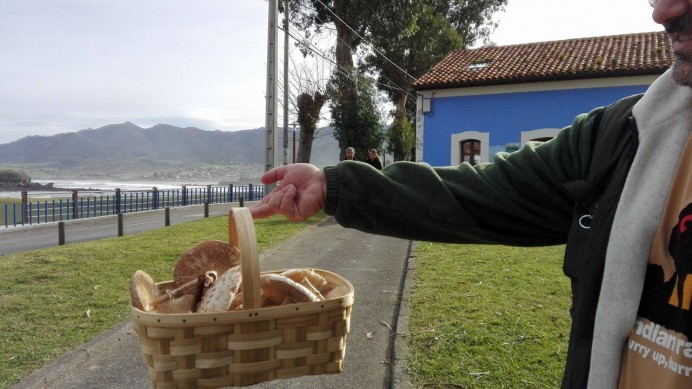 Jornada de las Setas en La Isla