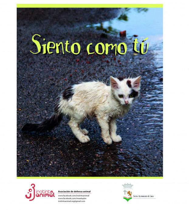 Charlas sobre el respeto a los animales y contra el maltrato animal en los centros educativos de Llanes