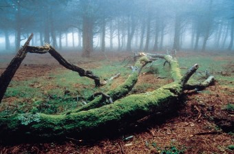 Nuevo horario de primavera del CI Sierra del Sueve