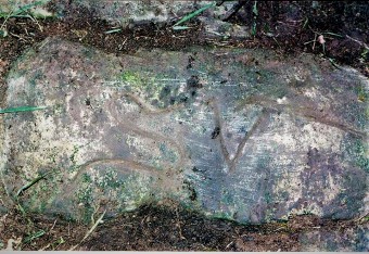 EL CAMINO DE SANTIAGO (De nuevo)