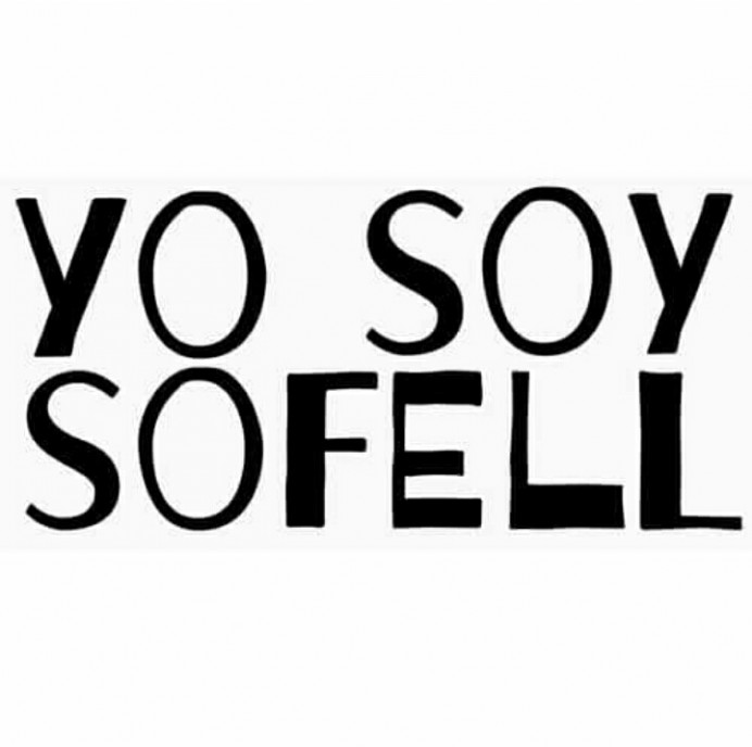 Elecciones para elegir la Junta Directiva de SOFELL