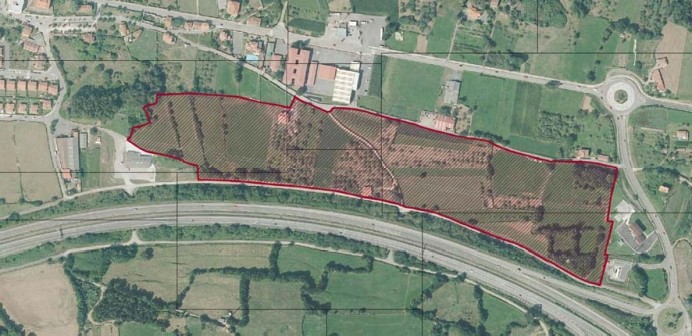 Colunga obtiene una subvención de 13.455 euros para avanzar en su nuevo polígono industrial