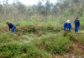 El Programa Activate trabaja en la creación de un Bosque Educativo en la zona del MUJA