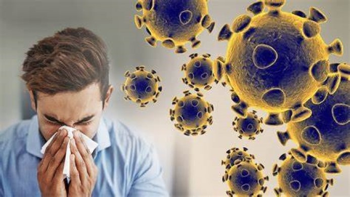 Toda la información sobre el Coronavirus