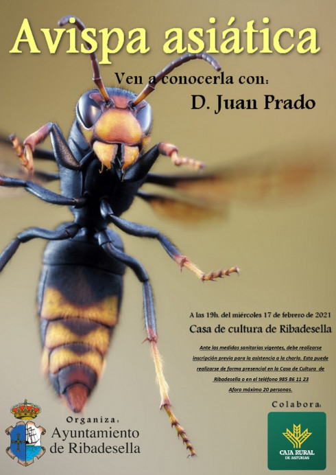 Charla sobre la avispa velutina