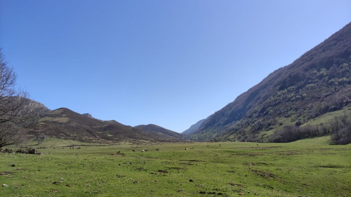 El PSOE de Llanes propone un acceso sostenible al Valle de Viango para ganaderos