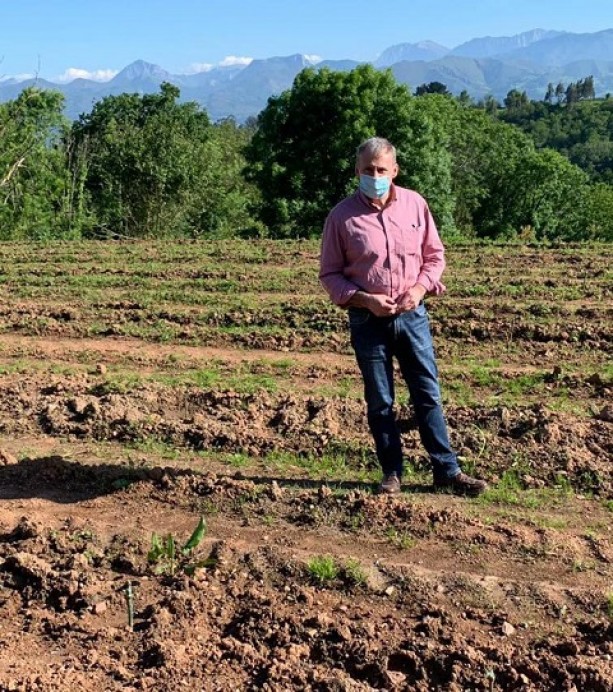 Los viñedos de Parres