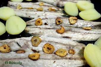 Xarda (verdel) a la espalda