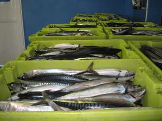 Cómo disfrutar de Lastres estas vacaciones de Semana Santa