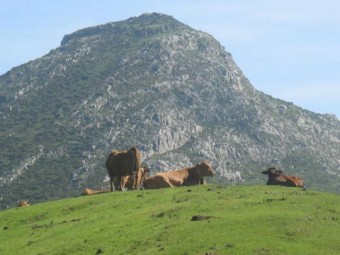 Productos fitosanitarios. Charla y curso.