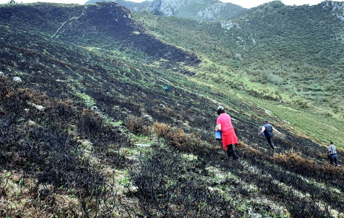 Sextaferia y Ayuntamiento recuperan zona quemada Río Nueva