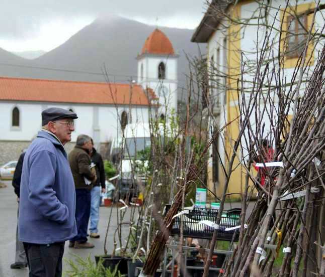 El pueblo de Balmori celebra el sábado 6 de febrero la Feria del Árbol de Santa Dorotea El pueblo de Balmori celebra el sábado 6 de febrero la Feria del Árbol de Santa Dorotea