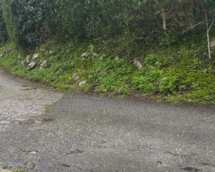 Llanes presenta un Plan de Asfaltado de caminos con más de 300.000 euros de presupuesto Llanes presenta un Plan de Asfaltado de caminos con más de 300.000 euros de presupuesto