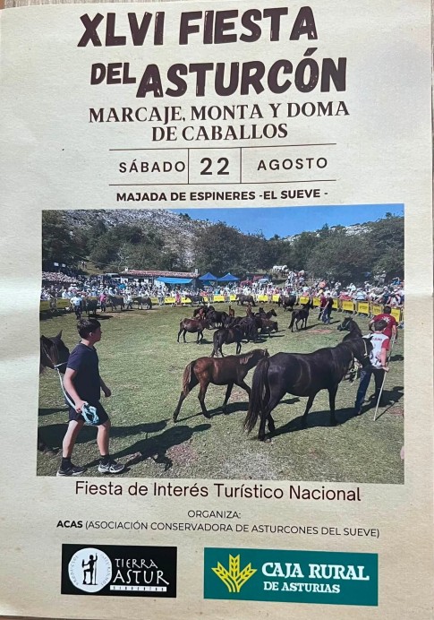 La Fiesta del Asturcón celebra el sábado 22 de agosto su 46 edición en la Sierra del Sueve